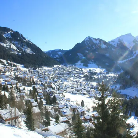 Forsythia For 4 People *